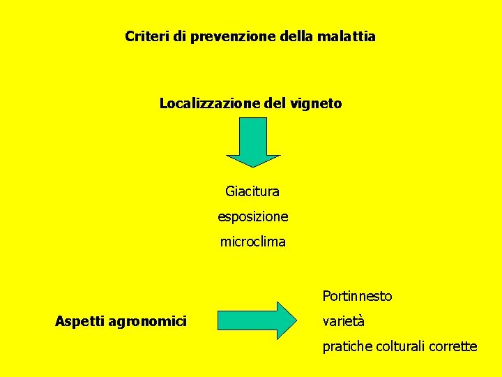 Criteri di prevenzione della malattia Localizzazione del vigneto Giacitura esposizione microclima Portinnesto Aspetti agronomici