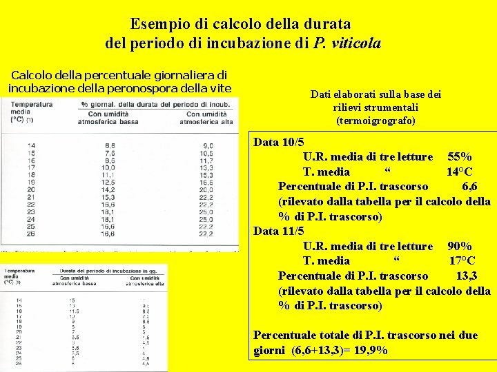 Esempio di calcolo della durata del periodo di incubazione di P. viticola Calcolo della