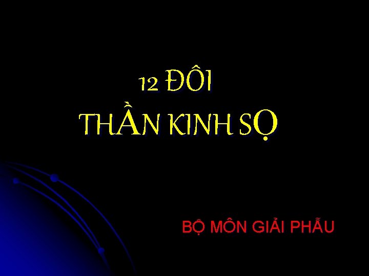 12 ĐÔI THẦN KINH SỌ BỘ MÔN GIẢI PHẪU 