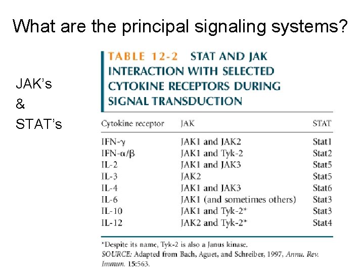 What are the principal signaling systems? JAK’s & STAT’s What are the principal signaling systems? JAK’s & STAT’s