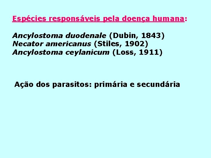 Espécies responsáveis pela doença humana: Ancylostoma duodenale (Dubin, 1843) Necator americanus (Stiles, 1902) Ancylostoma