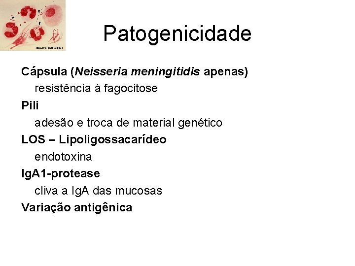 Patogenicidade Cápsula (Neisseria meningitidis apenas) resistência à fagocitose Pili adesão e troca de material