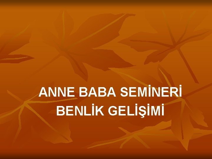 ANNE BABA SEMİNERİ BENLİK GELİŞİMİ 