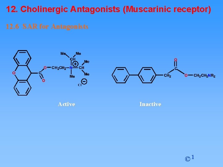 12. Cholinergic Antagonists (Muscarinic receptor) 12. 6 SAR for Antagonists Active Inactive © 1