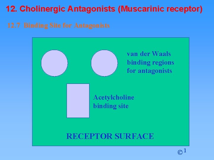 12. Cholinergic Antagonists (Muscarinic receptor) 12. 7 Binding Site for Antagonists van der Waals