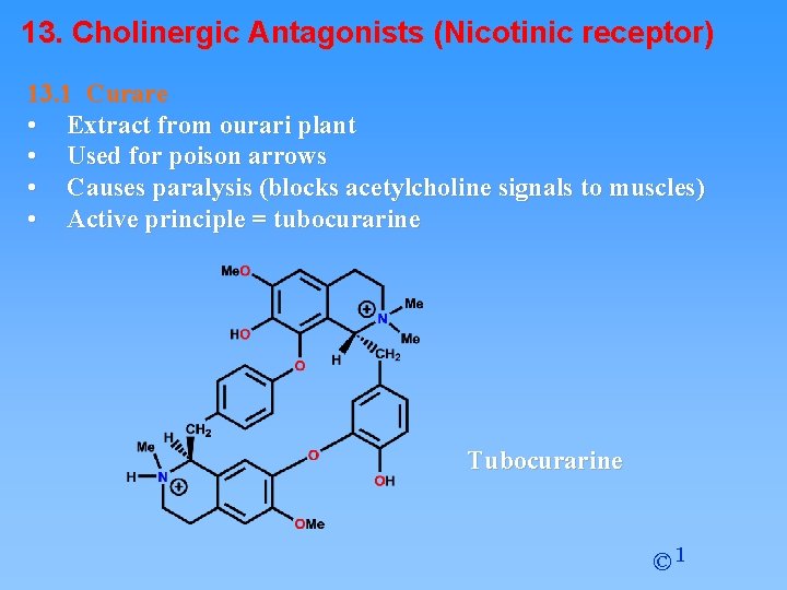 13. Cholinergic Antagonists (Nicotinic receptor) 13. 1 Curare • Extract from ourari plant •