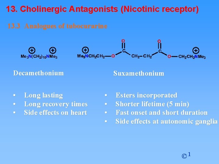 13. Cholinergic Antagonists (Nicotinic receptor) 13. 3 Analogues of tubocurarine Decamethonium • • •