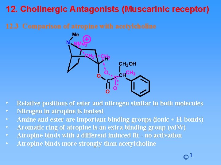 12. Cholinergic Antagonists (Muscarinic receptor) 12. 3 Comparison of atropine with acetylcholine • •