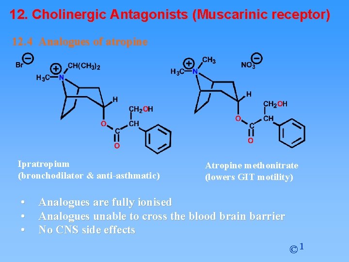 12. Cholinergic Antagonists (Muscarinic receptor) 12. 4 Analogues of atropine Ipratropium (bronchodilator & anti-asthmatic)