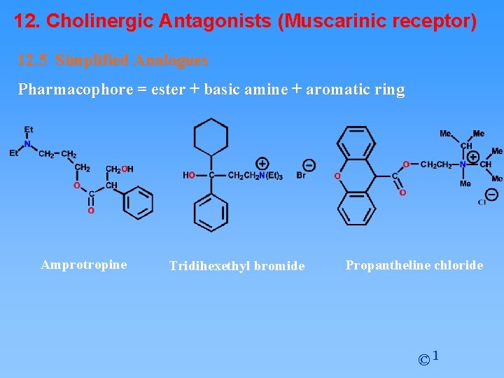 12. Cholinergic Antagonists (Muscarinic receptor) 12. 5 Simplified Analogues Pharmacophore = ester + basic
