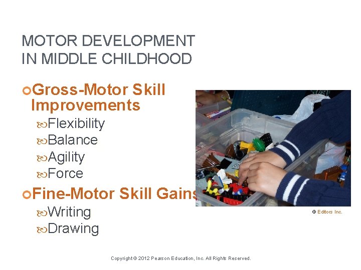 MOTOR DEVELOPMENT IN MIDDLE CHILDHOOD Gross-Motor Skill Improvements Flexibility Balance Agility Force Fine-Motor Writing