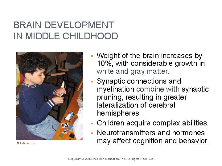 BRAIN DEVELOPMENT IN MIDDLE CHILDHOOD § § © Editors Inc. Weight of the brain