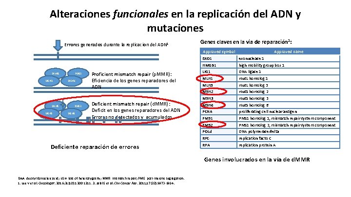 Alteraciones funcionales en la replicación del ADN y mutaciones Errores generados durante la replicacion