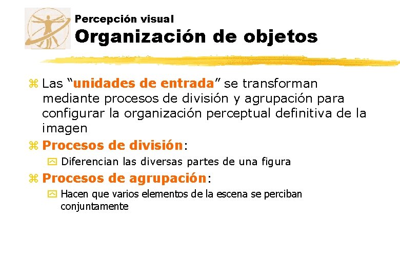 Percepción visual Organización de objetos z Las “unidades de entrada” se transforman mediante procesos Percepción visual Organización de objetos z Las “unidades de entrada” se transforman mediante procesos
