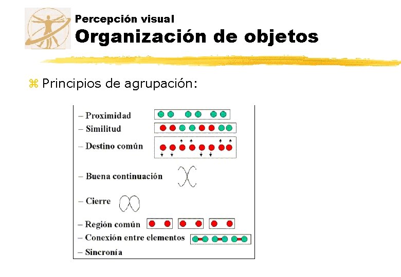 Percepción visual Organización de objetos z Principios de agrupación: Percepción visual Organización de objetos z Principios de agrupación: