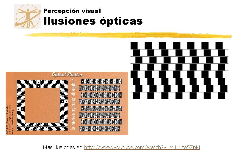 Percepción visual Ilusiones ópticas Más ilusiones en http: //www. youtube. com/watch? v=xl 1 l. Percepción visual Ilusiones ópticas Más ilusiones en http: //www. youtube. com/watch? v=xl 1 l.