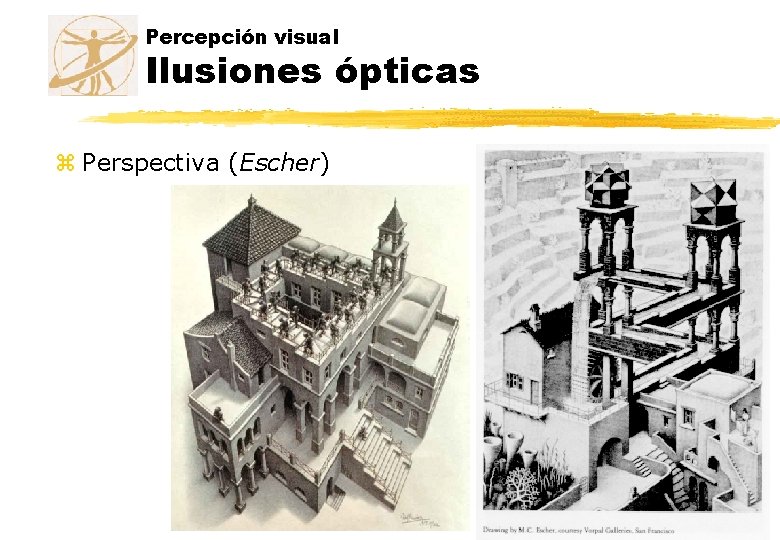 Percepción visual Ilusiones ópticas z Perspectiva (Escher) Percepción visual Ilusiones ópticas z Perspectiva (Escher)