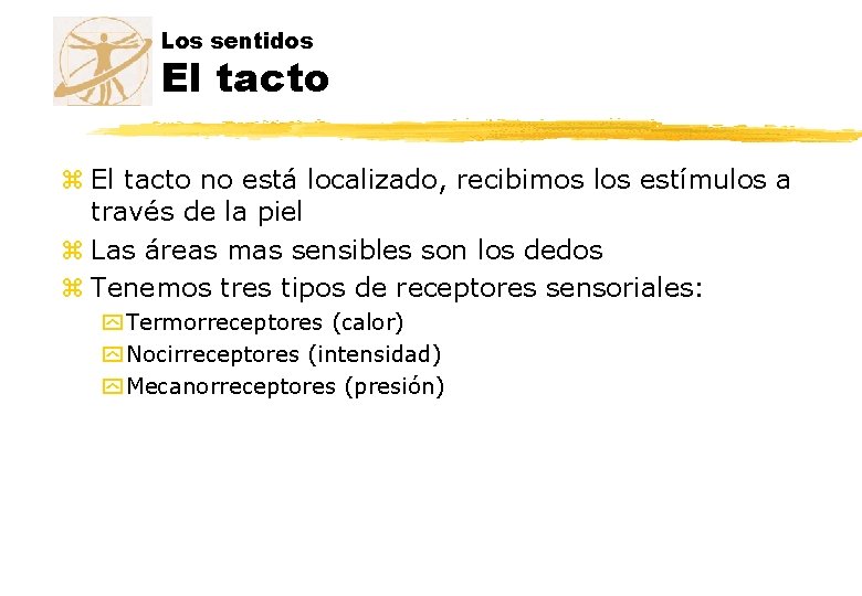 Los sentidos El tacto z El tacto no está localizado, recibimos los estímulos a Los sentidos El tacto z El tacto no está localizado, recibimos los estímulos a