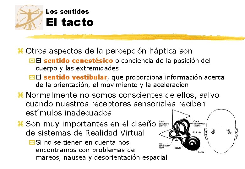 Los sentidos El tacto z Otros aspectos de la percepción háptica son y El Los sentidos El tacto z Otros aspectos de la percepción háptica son y El