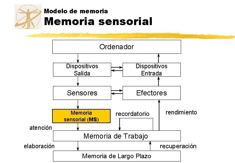 Modelo de memoria Memoria sensorial Ordenador Dispositivos Salida Dispositivos Entrada Sensores Efectores Memoria sensorial Modelo de memoria Memoria sensorial Ordenador Dispositivos Salida Dispositivos Entrada Sensores Efectores Memoria sensorial