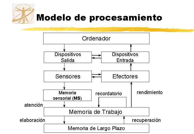 Modelo de procesamiento Ordenador Dispositivos Salida Dispositivos Entrada Sensores Efectores Memoria sensorial (MS) recordatorio Modelo de procesamiento Ordenador Dispositivos Salida Dispositivos Entrada Sensores Efectores Memoria sensorial (MS) recordatorio