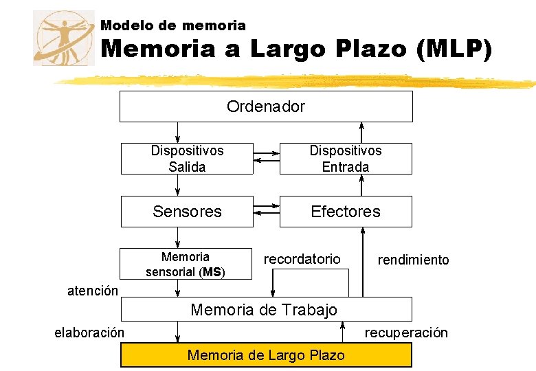 Modelo de memoria Memoria a Largo Plazo (MLP) Ordenador Dispositivos Salida Dispositivos Entrada Sensores Modelo de memoria Memoria a Largo Plazo (MLP) Ordenador Dispositivos Salida Dispositivos Entrada Sensores