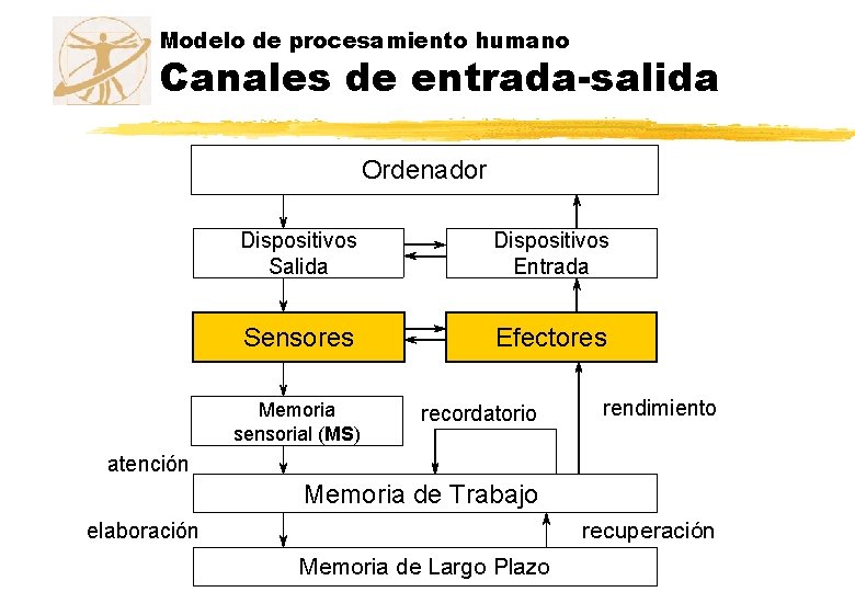 Modelo de procesamiento humano Canales de entrada-salida Ordenador Dispositivos Salida Dispositivos Entrada Sensores Efectores Modelo de procesamiento humano Canales de entrada-salida Ordenador Dispositivos Salida Dispositivos Entrada Sensores Efectores