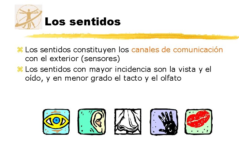 Los sentidos z Los sentidos constituyen los canales de comunicación con el exterior (sensores) Los sentidos z Los sentidos constituyen los canales de comunicación con el exterior (sensores)
