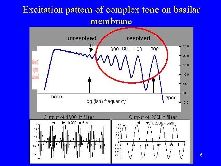 Excitation pattern of complex tone on basilar membrane unresolved 1600 800 600 400 25.