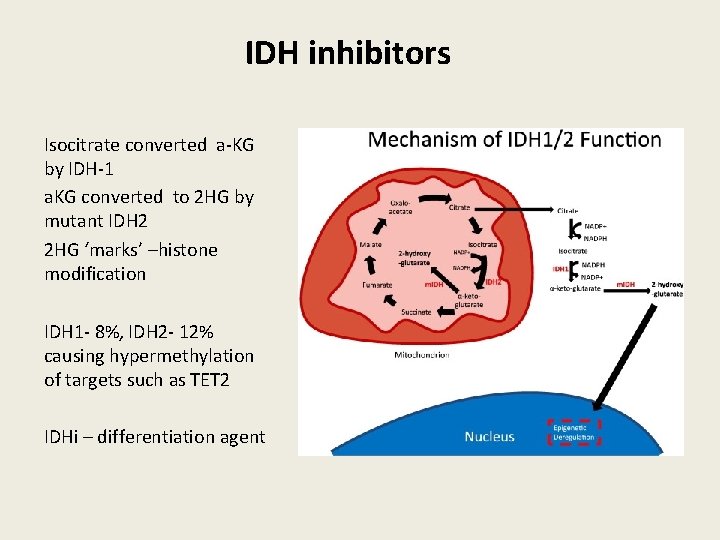 IDH inhibitors Isocitrate converted a-KG by IDH-1 a. KG converted to 2 HG by