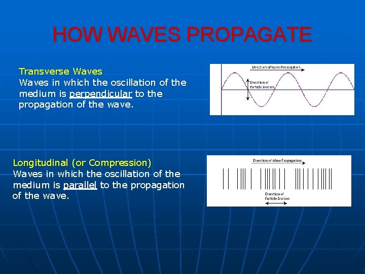 HOW WAVES PROPAGATE Transverse Waves in which the oscillation of the medium is perpendicular