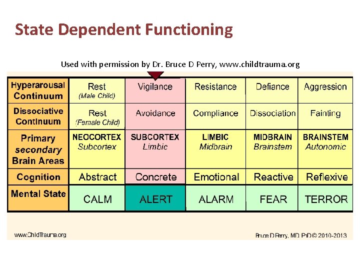 State Dependent Functioning Used with permission by Dr. Bruce D Perry, www. childtrauma. org