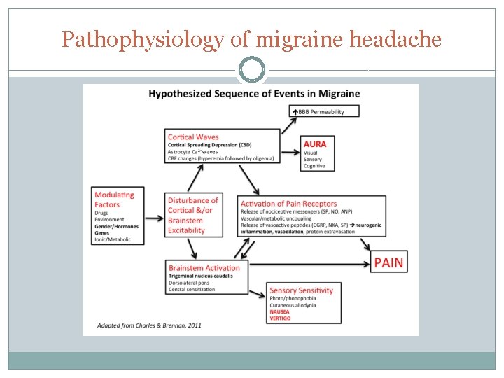 Pathophysiology of migraine headache 