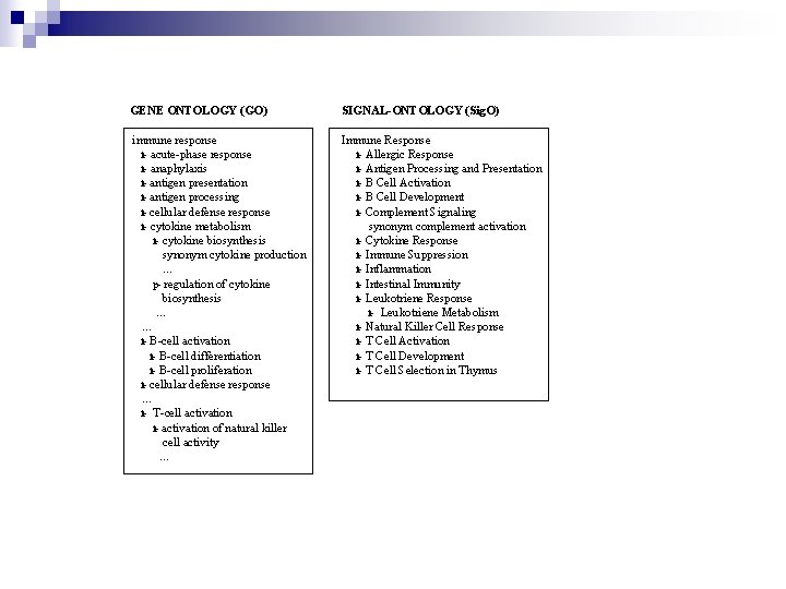 GENE ONTOLOGY (GO) SIGNAL-ONTOLOGY (Sig. O) immune response i- acute-phase response i- anaphylaxis i-