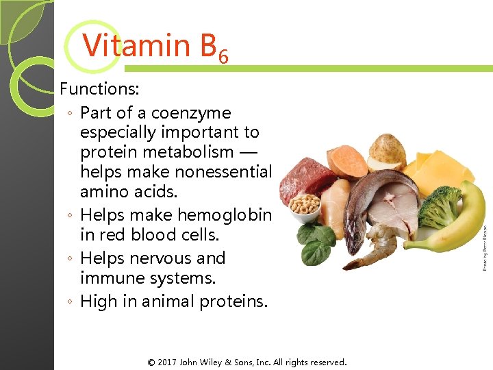 Vitamin B 6 Functions: ◦ Part of a coenzyme especially important to protein metabolism Vitamin B 6 Functions: ◦ Part of a coenzyme especially important to protein metabolism
