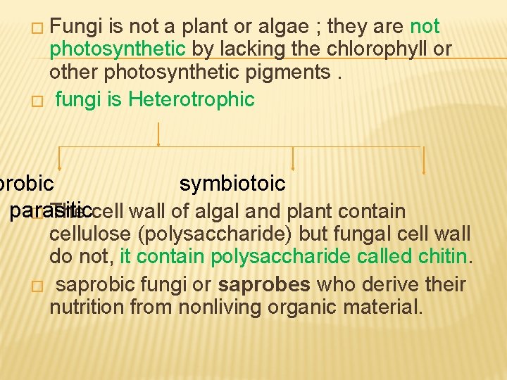 � Fungi is not a plant or algae ; they are not photosynthetic by