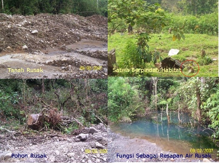 Tanah Rusak Pohon Rusak Satwa Berpindah Habitat Fungsi Sebagai Resapan Air Rusak 