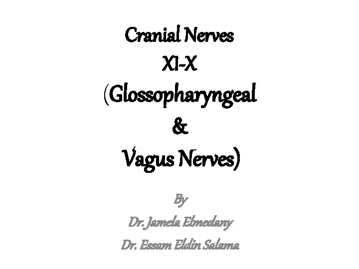 Cranial Nerves XI-X (Glossopharyngeal & Vagus Nerves) By Dr. Jamela Elmedany Dr. Essam Eldin