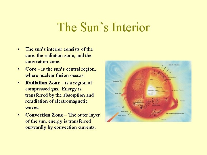 The Sun’s Interior • • The sun’s interior consists of the core, the radiation