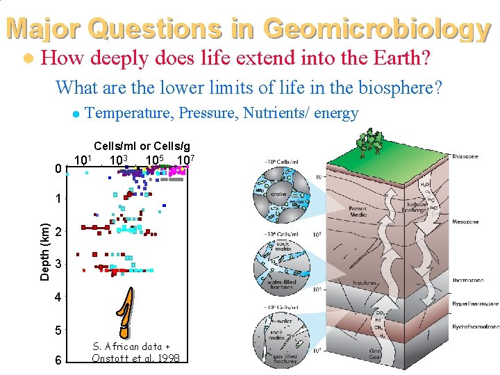 Major Questions in Geomicrobiology How deeply does life extend into the Earth? What are