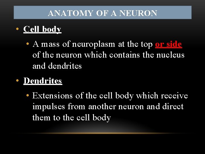 ANATOMY OF A NEURON • Cell body • A mass of neuroplasm at the