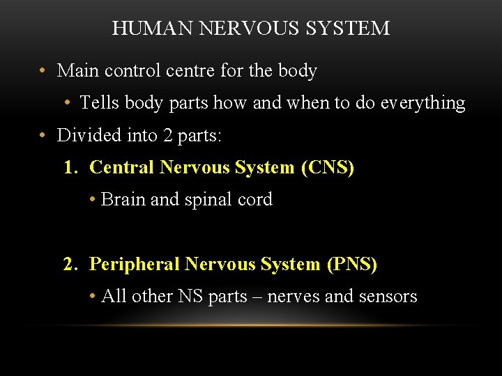 HUMAN NERVOUS SYSTEM • Main control centre for the body • Tells body parts