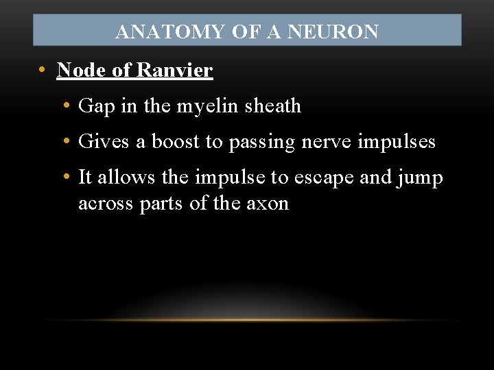 ANATOMY OF A NEURON • Node of Ranvier • Gap in the myelin sheath