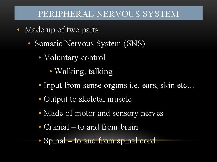 PERIPHERAL NERVOUS SYSTEM • Made up of two parts • Somatic Nervous System (SNS)