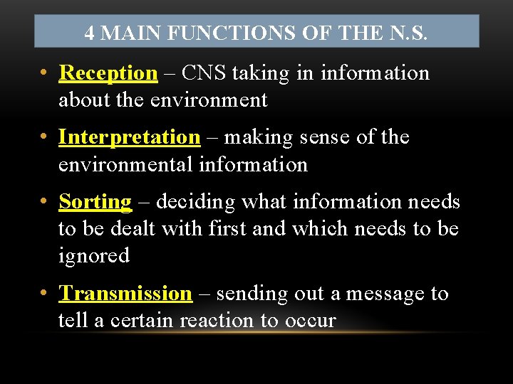 4 MAIN FUNCTIONS OF THE N. S. • Reception – CNS taking in information