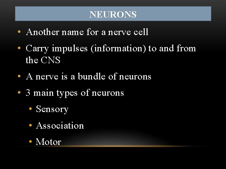 NEURONS • Another name for a nerve cell • Carry impulses (information) to and