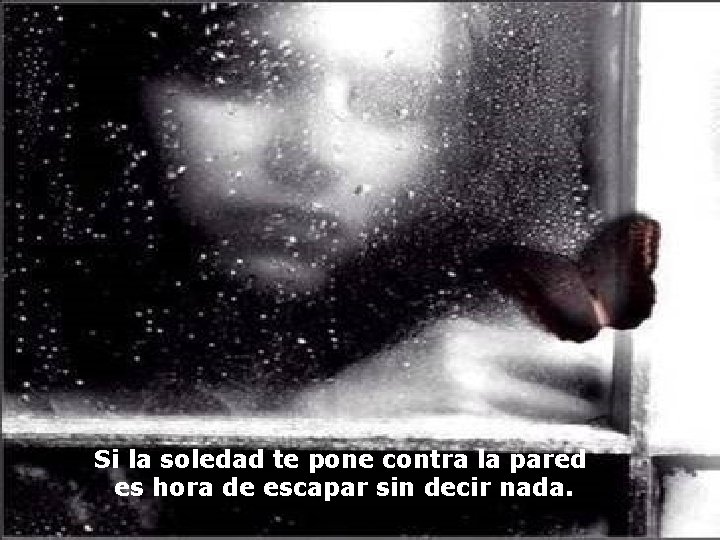 Si la soledad te pone contra la pared es hora de escapar sin decir Si la soledad te pone contra la pared es hora de escapar sin decir