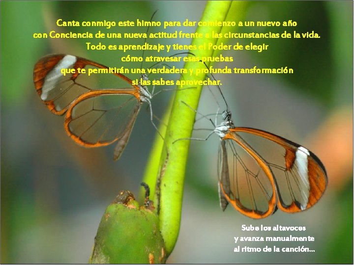 Canta conmigo este himno para dar comienzo a un nuevo año con Conciencia de Canta conmigo este himno para dar comienzo a un nuevo año con Conciencia de