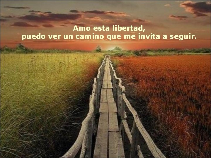 Amo esta libertad, puedo ver un camino que me invita a seguir. Amo esta libertad, puedo ver un camino que me invita a seguir.