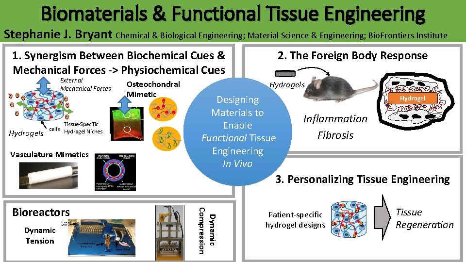 Biomaterials & Functional Tissue Engineering Stephanie J. Bryant Chemical & Biological Engineering; Material Science